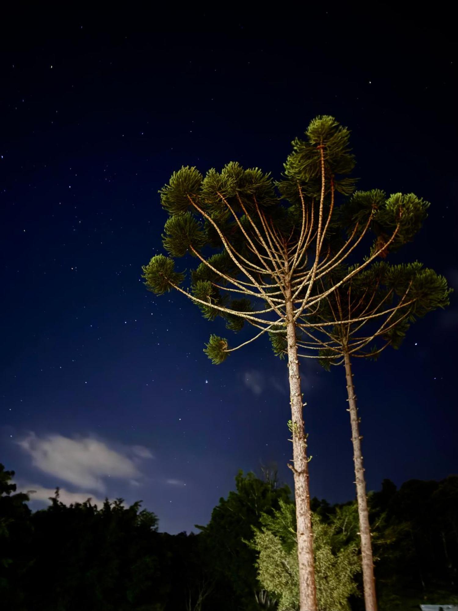 Hotel Campestre Atibaia Kültér fotó